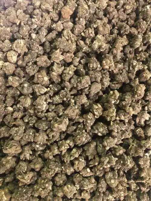 阜南县猫爪草正品道地水洗干净无杂产地直发不满意来回运费全包