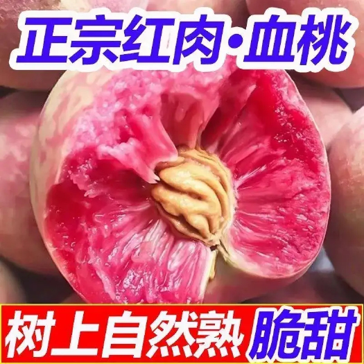 泌阳县2025血桃水果桃子新鲜雪桃毛桃朱砂红肉水果当季红心血桃