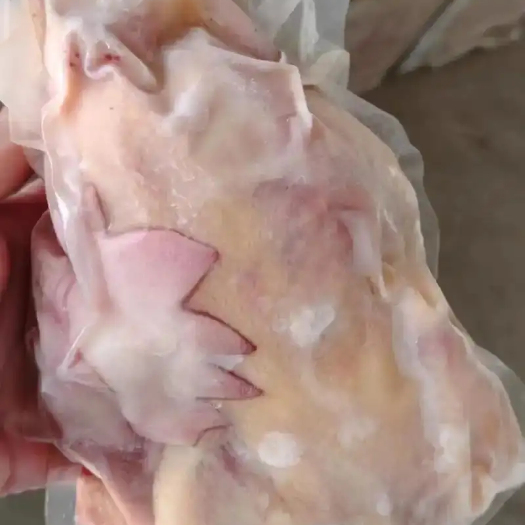抚州优质新鲜白耳黄鸡肉产地直发当日现杀支持批发零售
