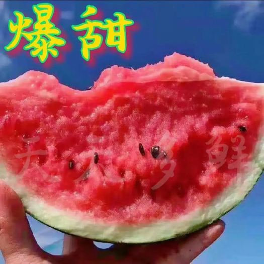 枝江市露天头茬好货麒麟瓜8424 美都 糖度高 质量三包产地直供