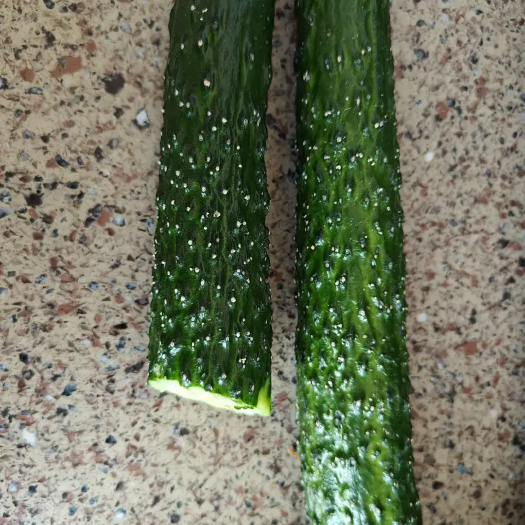 保康县黄瓜，粗细均匀，色泽分明，味道鲜美