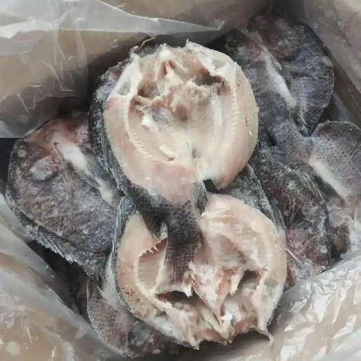 中山市全规格罗非鱼，二去三去开背罗非鱼，单冻，冰鲜！