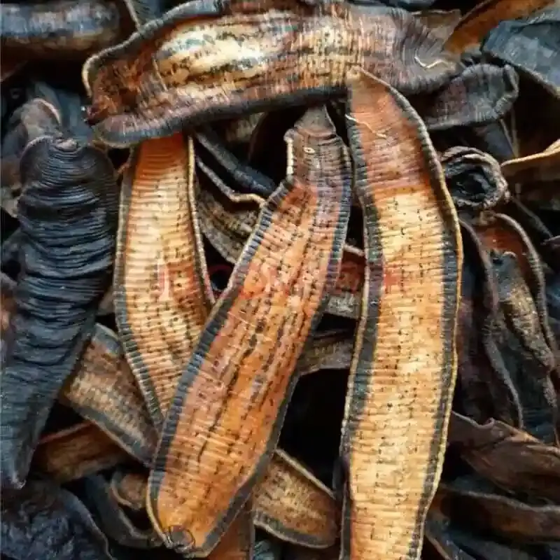 水蛭/蚂蟥  清水吊干，肉厚，量大优惠