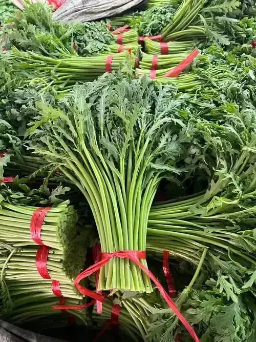 潍坊大量供应精品茼蒿