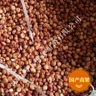 沭阳县 优质红高粱