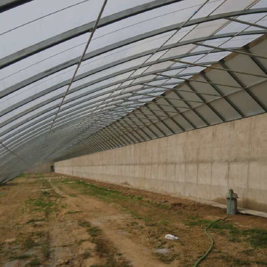 德州种植大棚  供应山东大棚骨架德州温室大棚材料山东冬暖大棚建设厂家