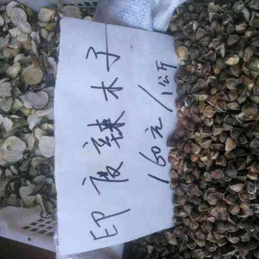 昆明辣木籽 