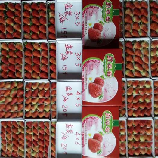 会泽县圣安德瑞斯草莓 质量是生命的源泉