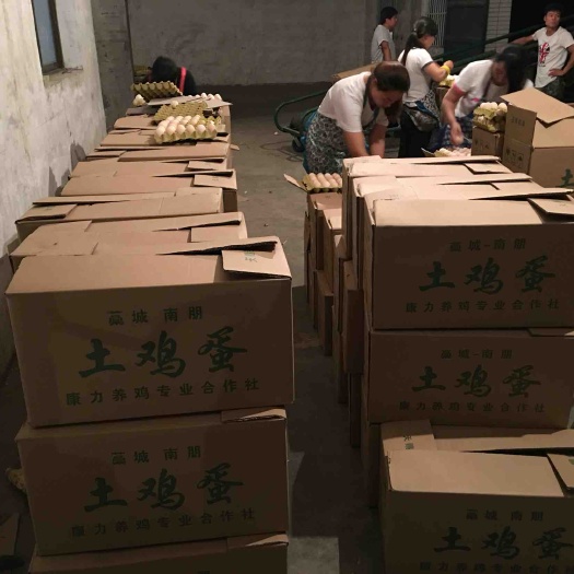石家庄粉蛋 箱装 食用 