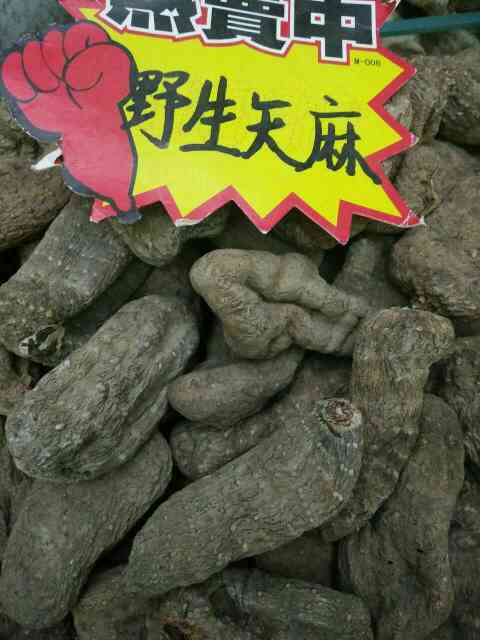 昆明小草坝天麻 