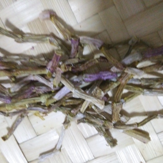 耿马县铁皮石斛
