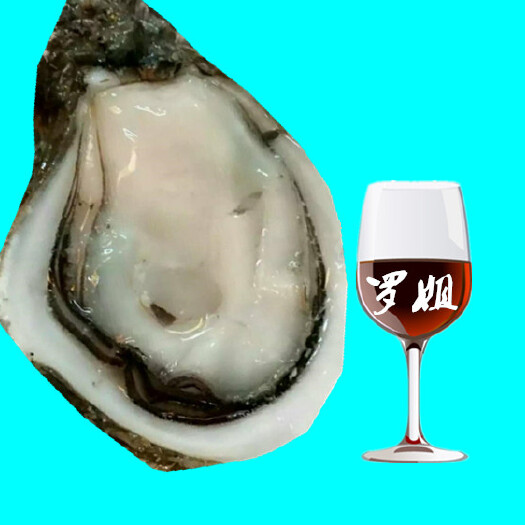 湛江牡蛎 人工养殖 5-10只/公斤 