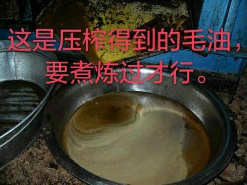田东县野生山茶油 500ml 