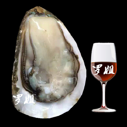 湛江牡蛎 人工养殖 1-3只/公斤