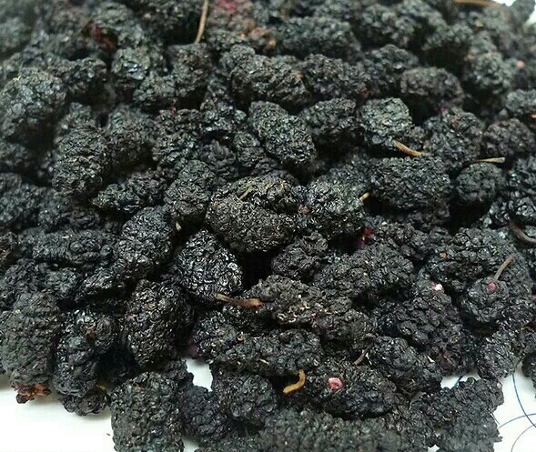 沧县桑葚果脯