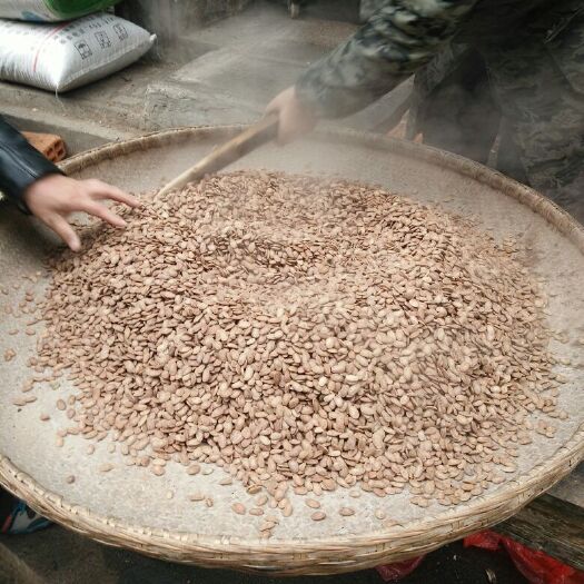 潜山市瓜蒌籽
