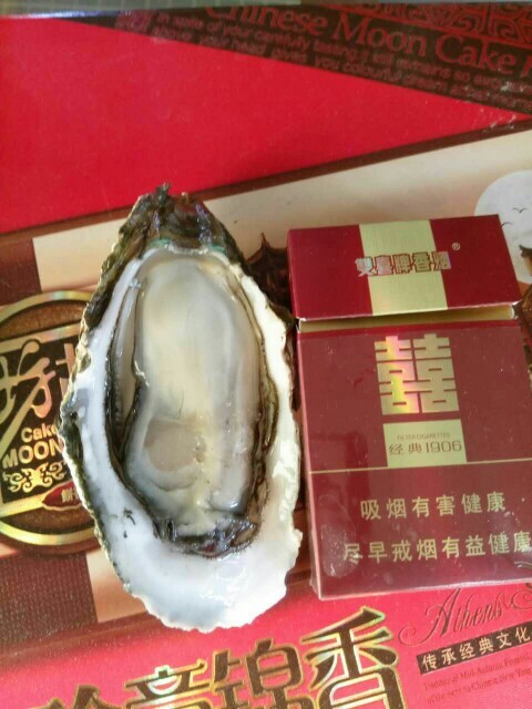 徐闻县湛江牡蛎 人工养殖 3-5只/公斤