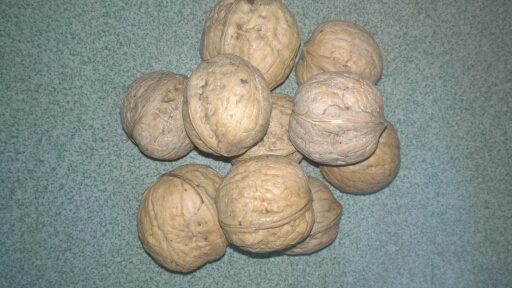 灵宝市薄皮核桃 26~30mm 袋装 去皮