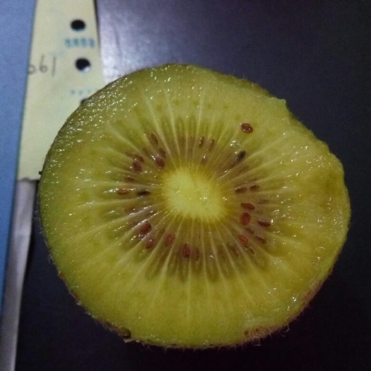 扶風(fēng)縣金艷獼猴桃