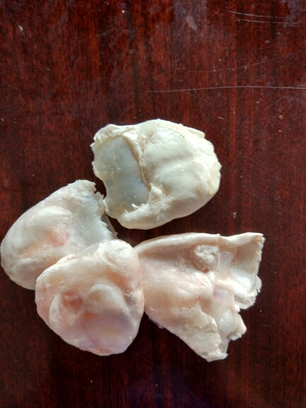北京鱼泡 江团鱼泡