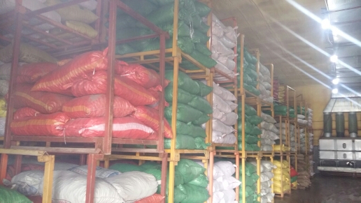 山东油栗 一级 中粒