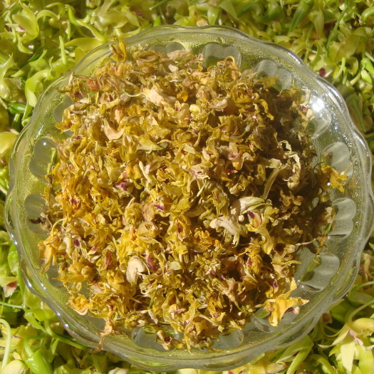 耿马县 石斛花铁皮