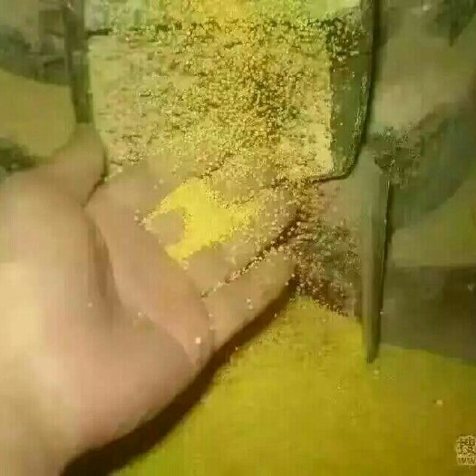 合阳县有机富硒小米