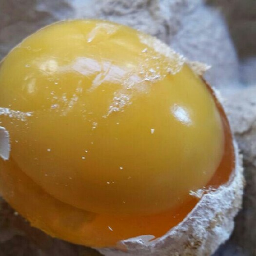 洛阳松花皮蛋