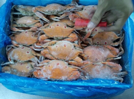 明虾