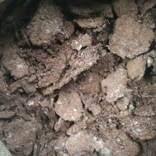 新兴县鸡粪 