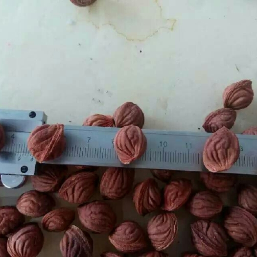 新绛县强特核桃