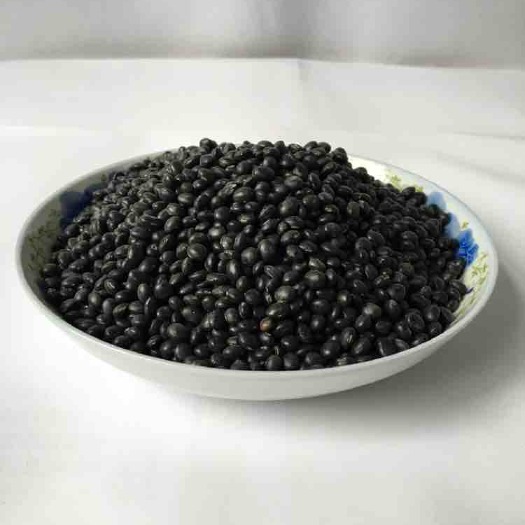 黄仁黑豆湖南五月五小黑豆