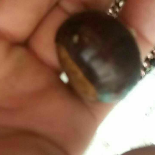 泰安泰山板栗苗 0.5~1米