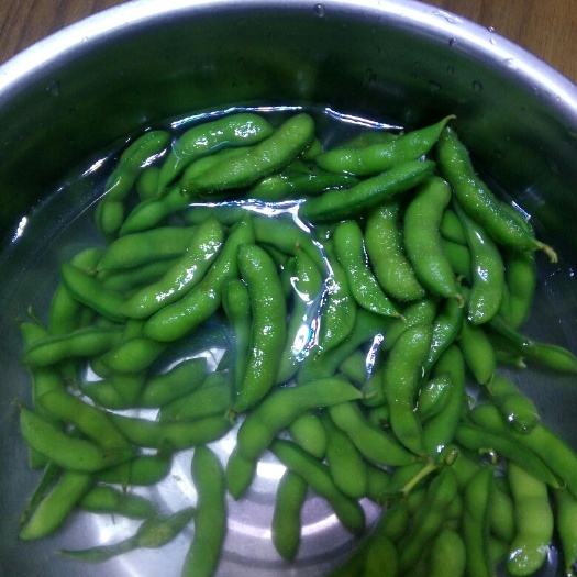 盘锦毛豆荚  青毛豆 12~18克