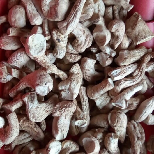 商南县香菇脚 (双剪统货)陕西绿昌隆农副产品有限公司