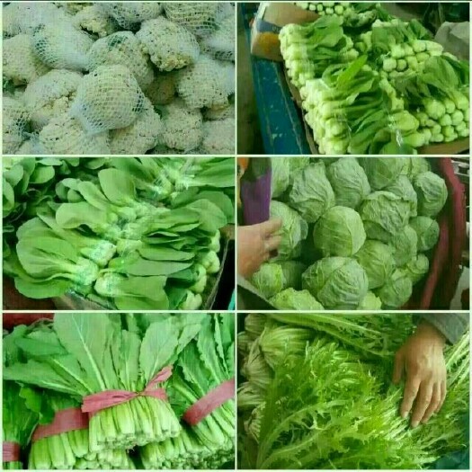 邯郸北方小油菜 1~2两