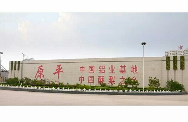 原平市酥梨 玉露香