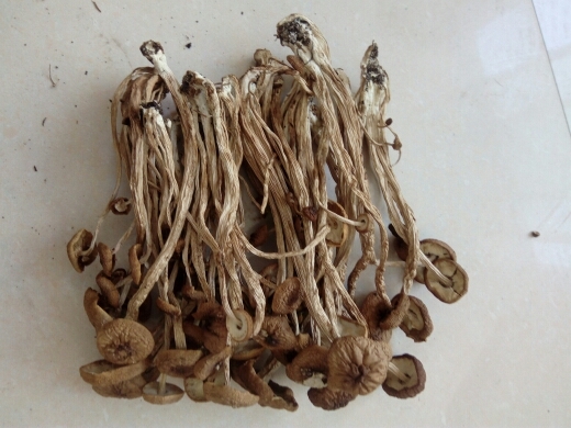 古田县 不开闪，干茶树菇