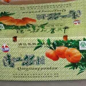长阳县湖北长阳清江椪柑