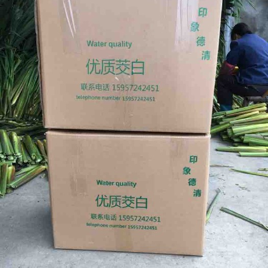 德清县双季茭白 20-25cm 