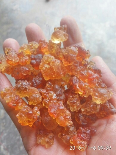 随县食用桃胶 6-12个月 