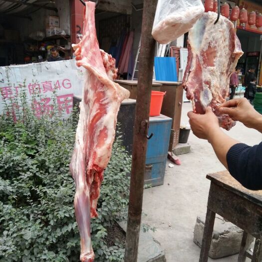 仁寿县简阳大耳羊 80-110斤