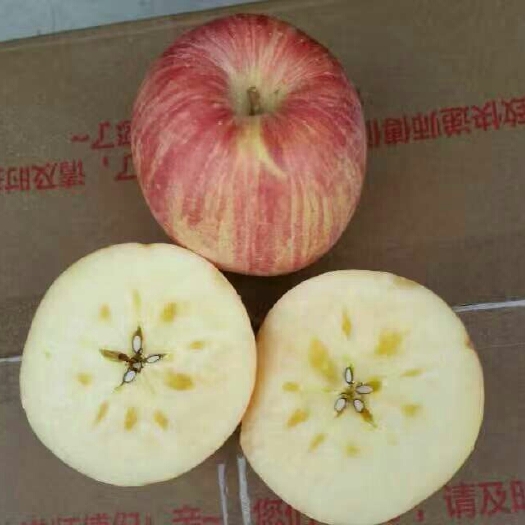 万荣县 山西运城万荣红富士苹果~苹果家族中的名门。