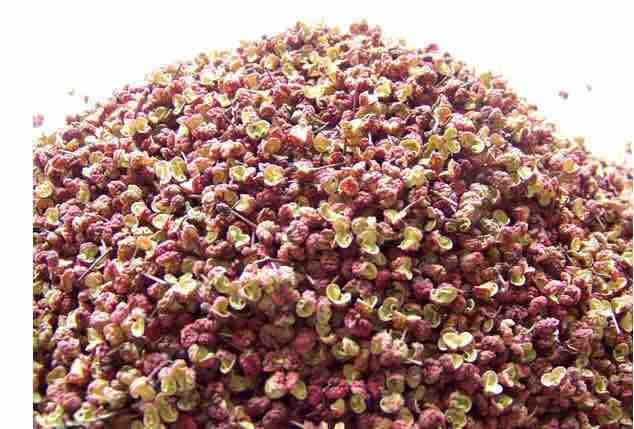 富平县大红袍花椒 干花椒 一级