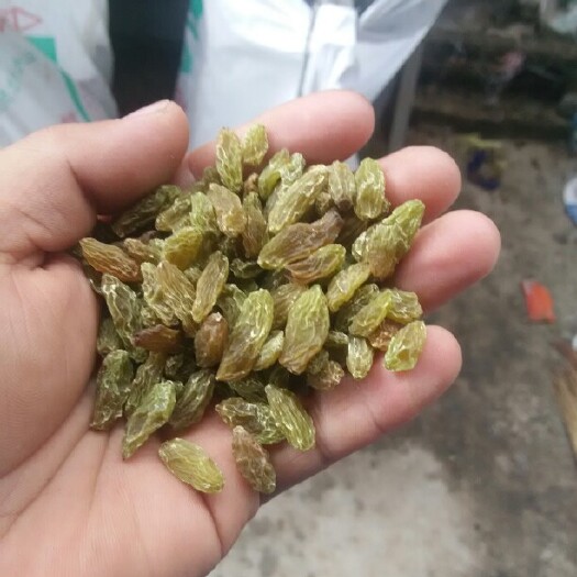 吐鲁番无核葡萄干  吐鲁番市火焰山葡萄干