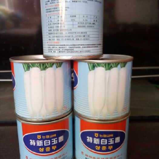 莱西市白萝卜种子