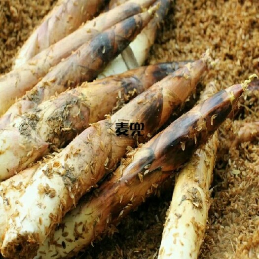 杭州 春笋，冬笋