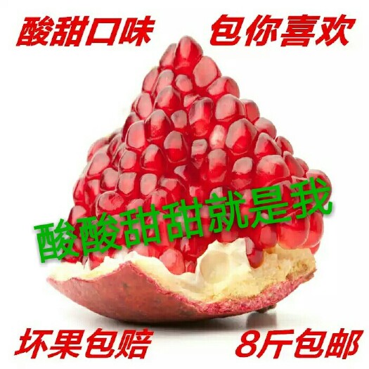 枣庄枣庄石榴 0.8 - 1斤
