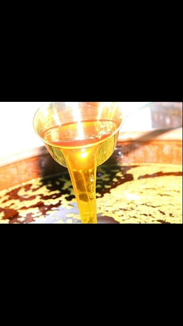 田东县现榨山茶油 