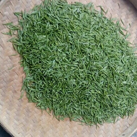 遂川县高山绿茶